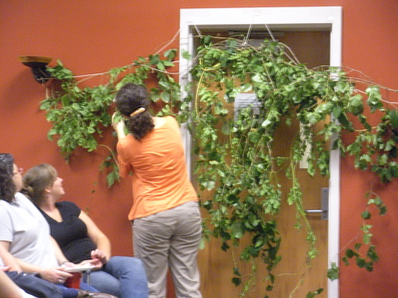 Picture 013.jpg